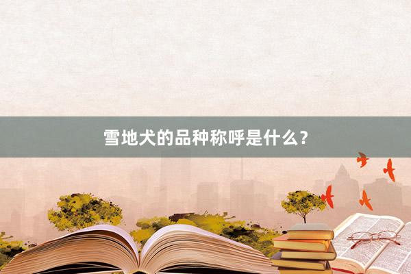 雪地犬的品种称呼是什么？